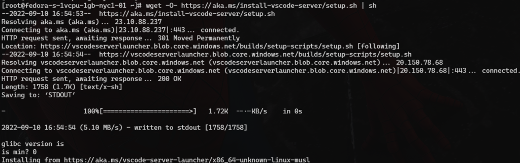 VS Code Server Install